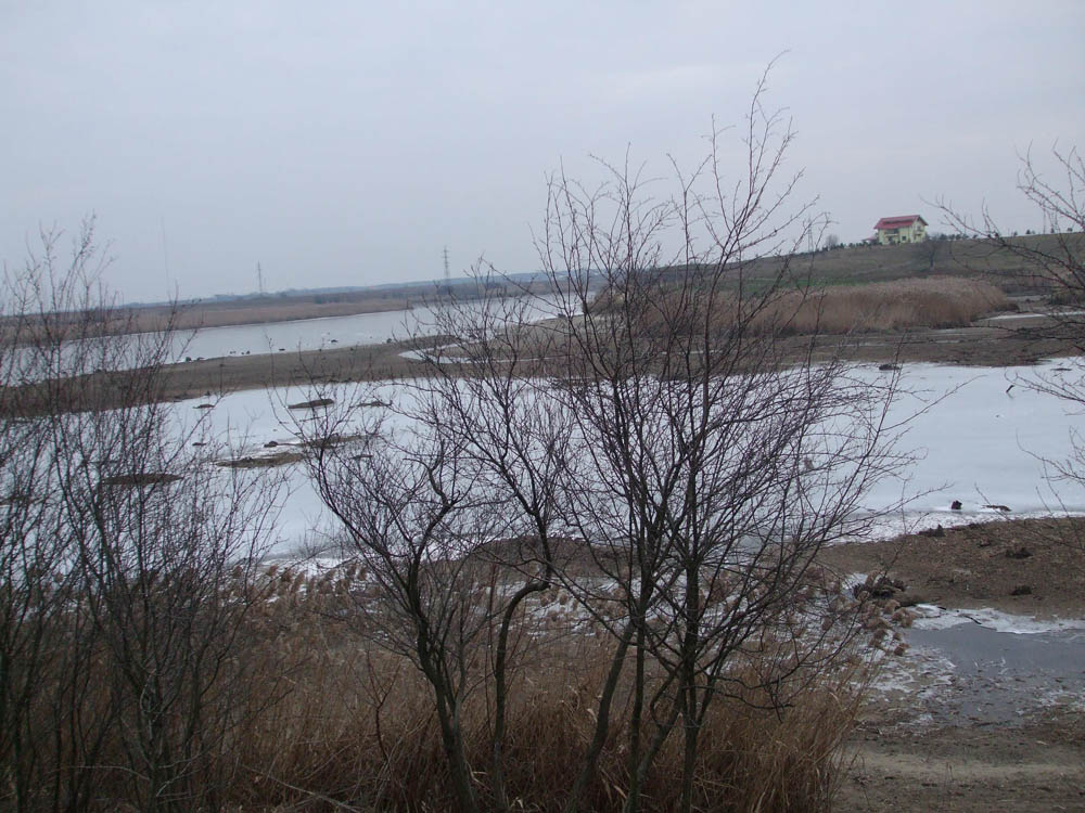 TANCABESTI SECAT - DSCF3444.jpg